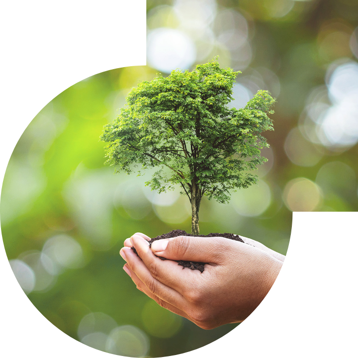 关怀人类、文化、环境与社会